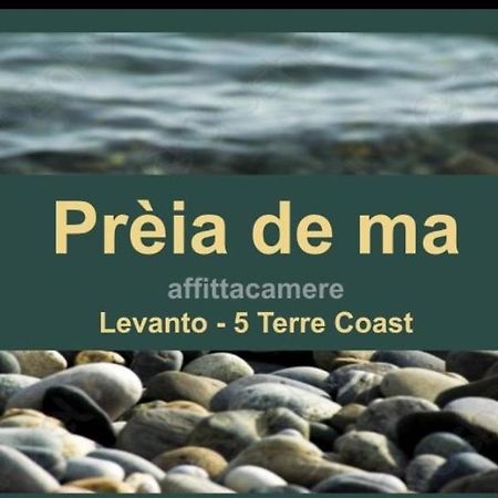 莱万托 Preia De Ma酒店 外观 照片