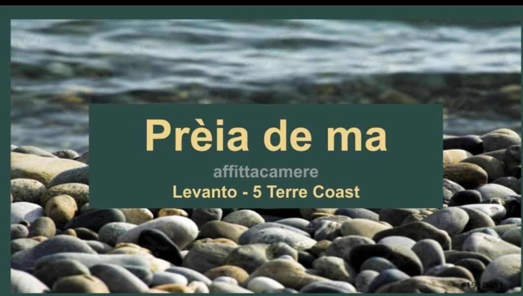 莱万托 Preia De Ma酒店 外观 照片